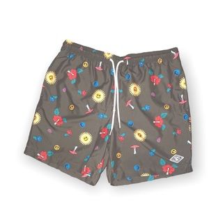 PacSun, Mens Swim Trunks, Never worn, No visible flaws 
Size LARGE